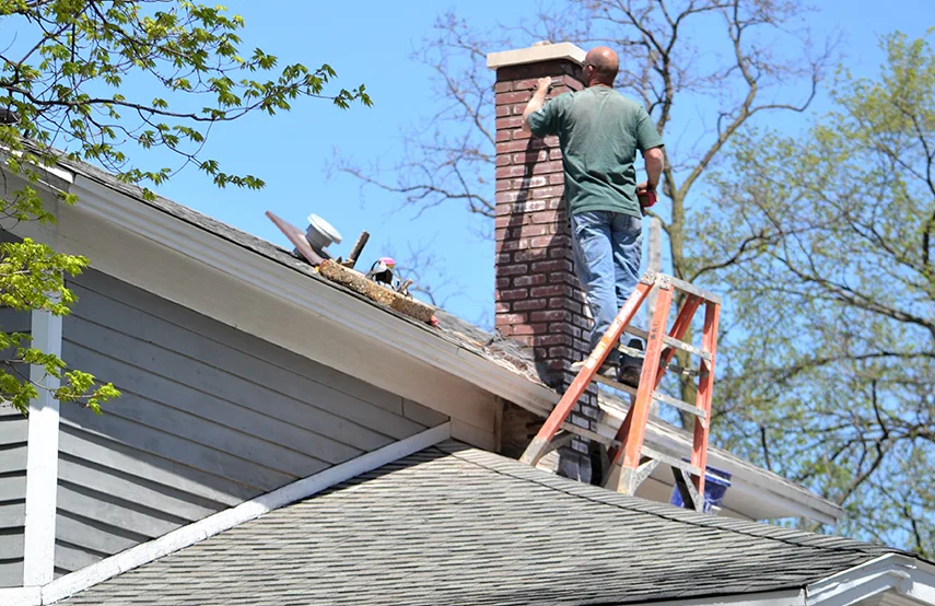 Chimney & Fireplace Inspections Services in Clermont, FL